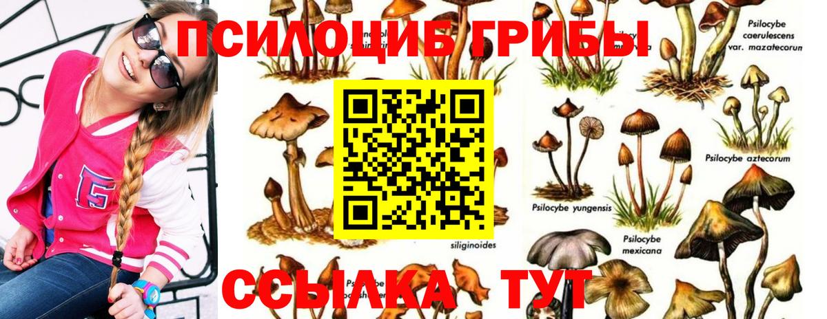 Псилоцибиновые грибы Magic Shrooms  Вход с VPN  Чусовой 
